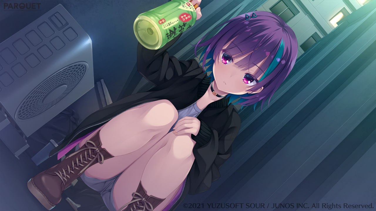 论坛标签  galgame-TX